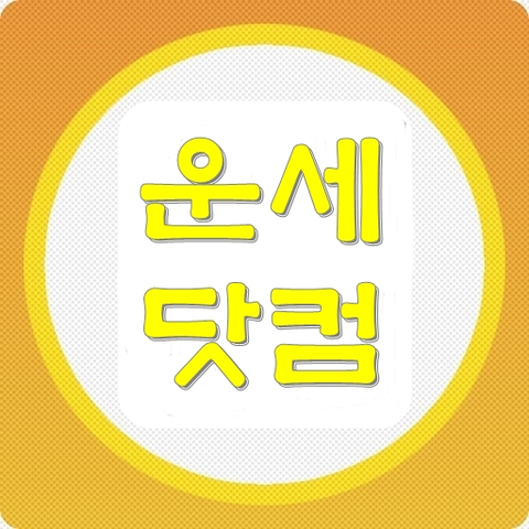 오늘의운세      