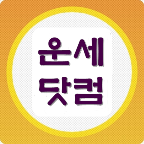 무료운세사주   