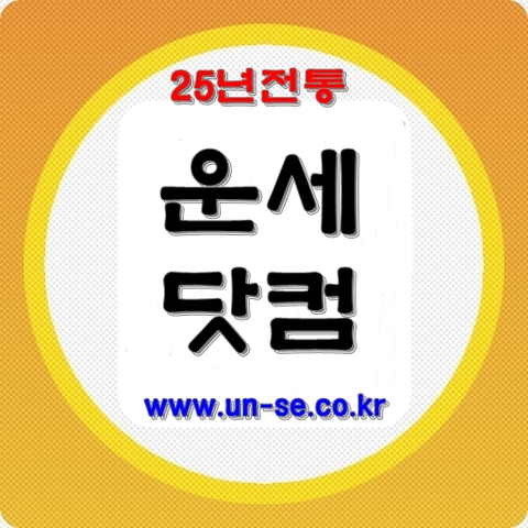 무료운세사주   